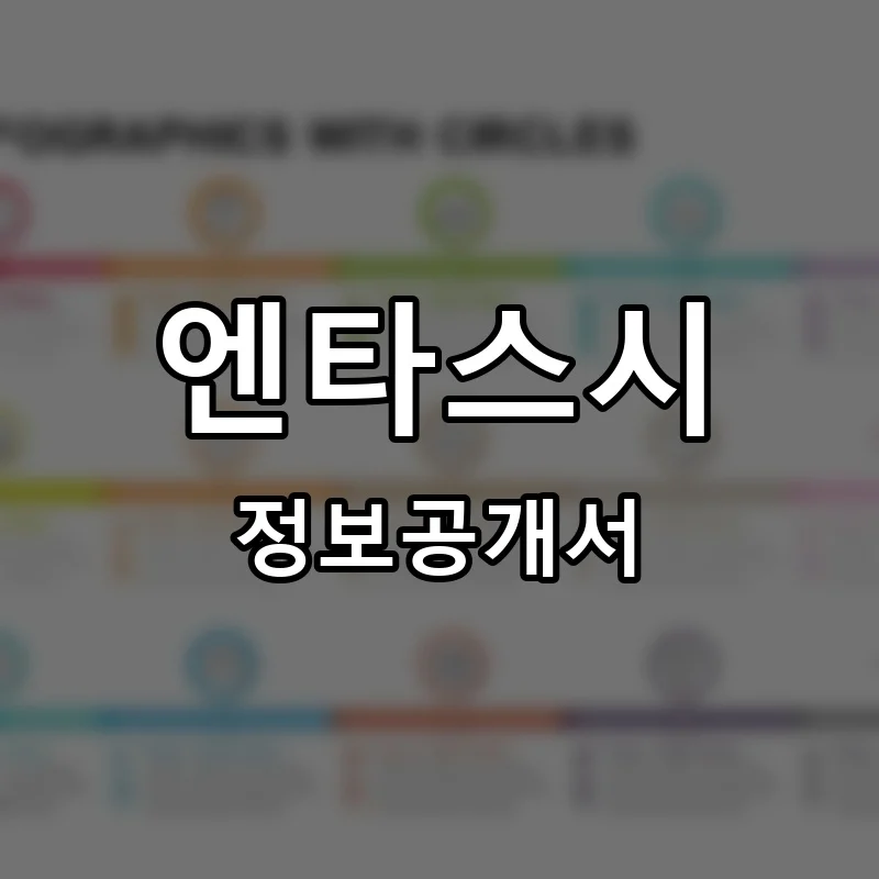 엔타스시 창업 프랜차이즈 정보공개서 요약 2025.11.18