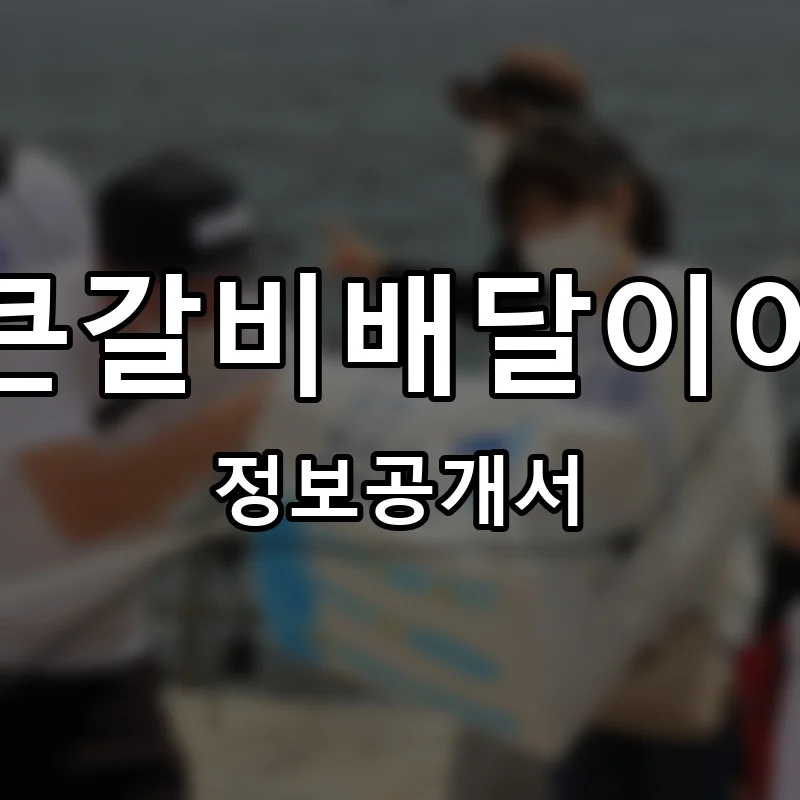 통큰갈비배달이야기 프랜차이즈 정보공개서