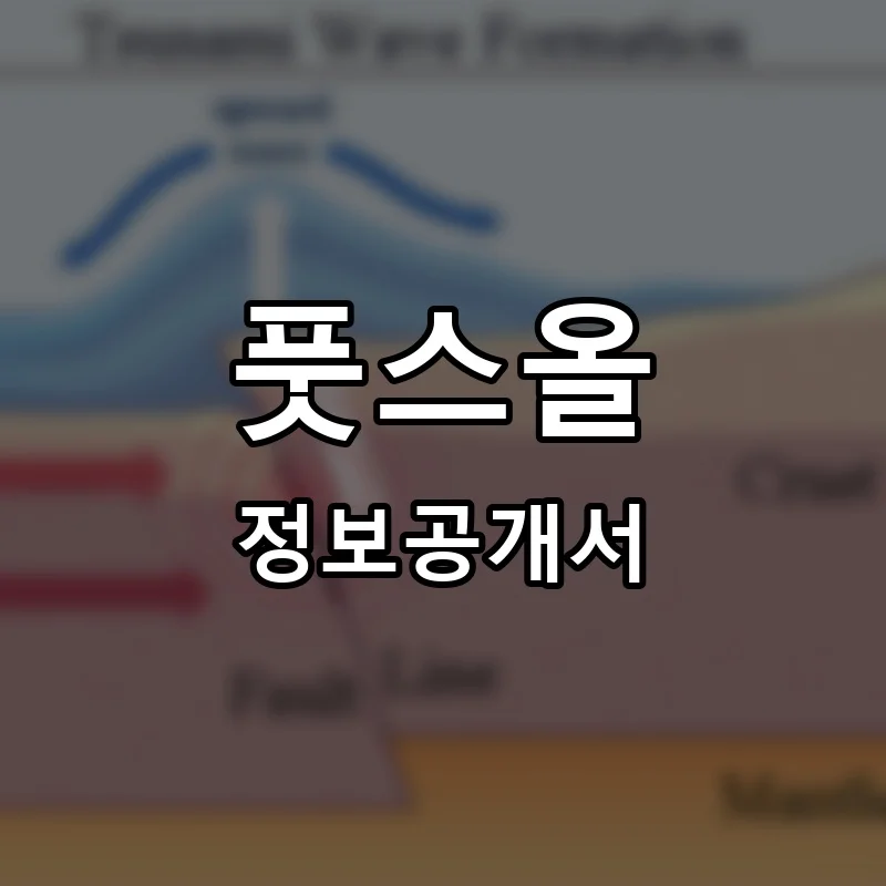 풋스올(Foot's All) 프랜차이즈 정보공개서