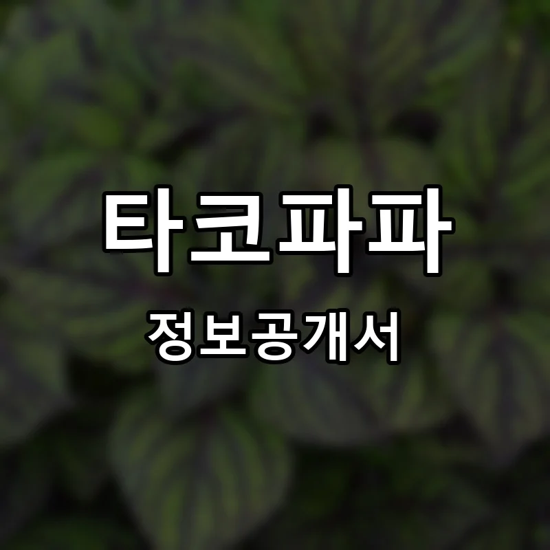 타코파파 프랜차이즈 정보공개서