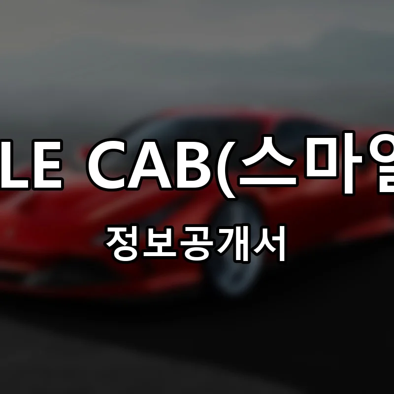 SMILE CAB(스마일캡) 프랜차이즈 정보공개서