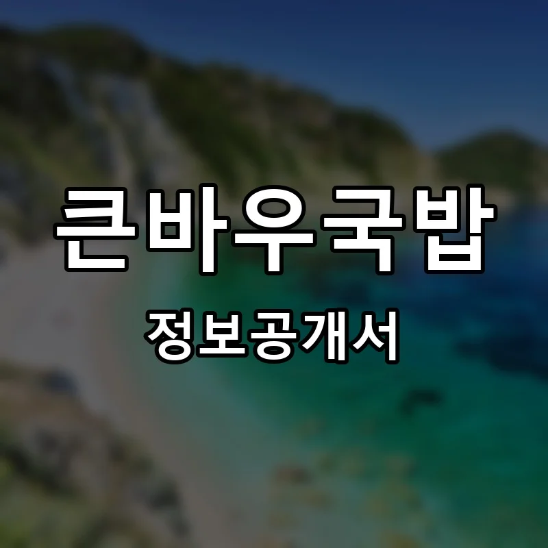 큰바우국밥 프랜차이즈 정보공개서