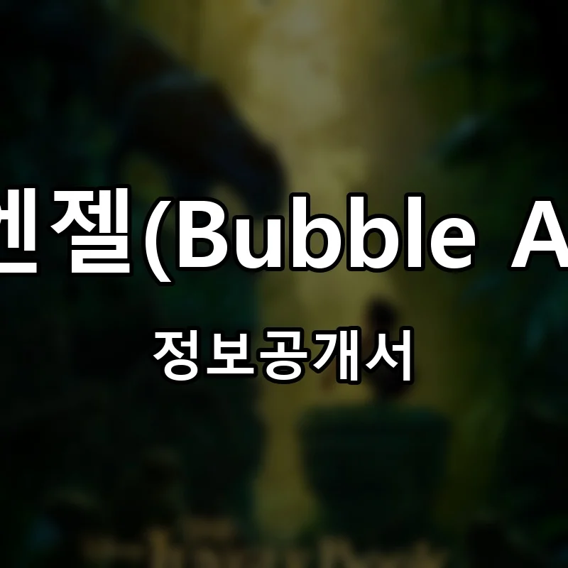 버블엔젤(Bubble Angel) 프랜차이즈 정보공개서