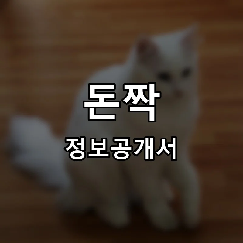 돈짝 프랜차이즈 창업 비용 정보공개서 요약