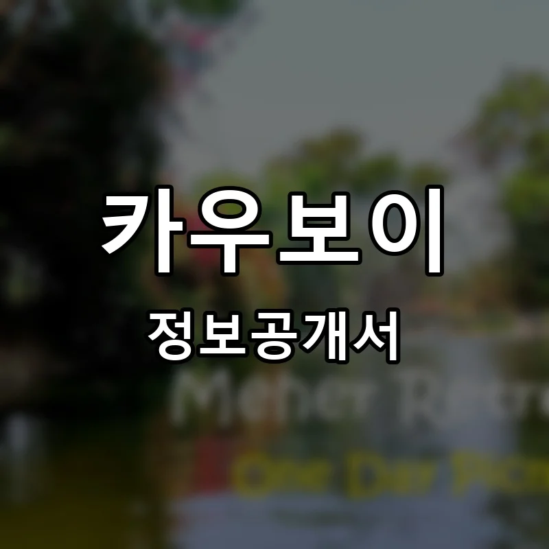 카우보이 프랜차이즈 정보공개서