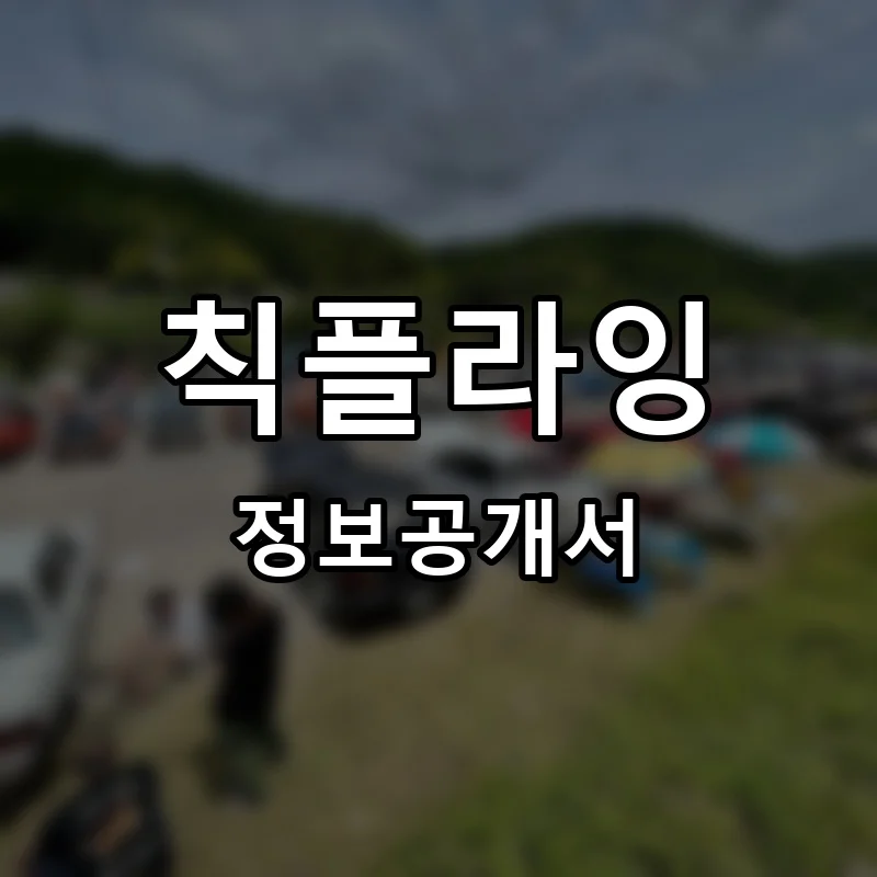 칙플라잉 프랜차이즈 정보공개서
