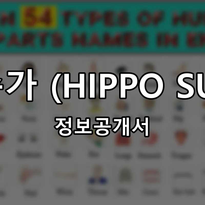 히포슈가 (HIPPO SUGAR) 프랜차이즈 창업 비용 정보공개서 요약