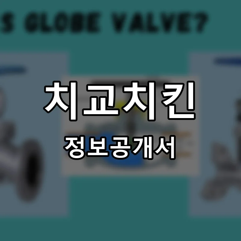 치교치킨 프랜차이즈 정보공개서