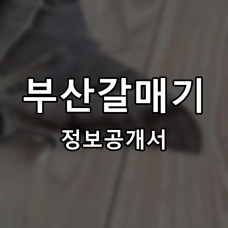 부산갈매기 프랜차이즈 창업 비용 정보공개서 요약