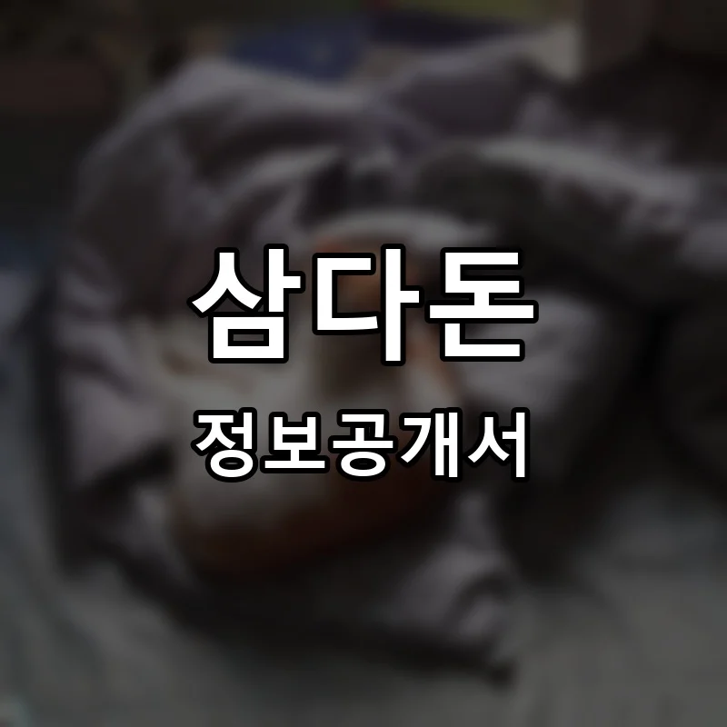 삼다돈 프랜차이즈 창업 비용 정보공개서 요약
