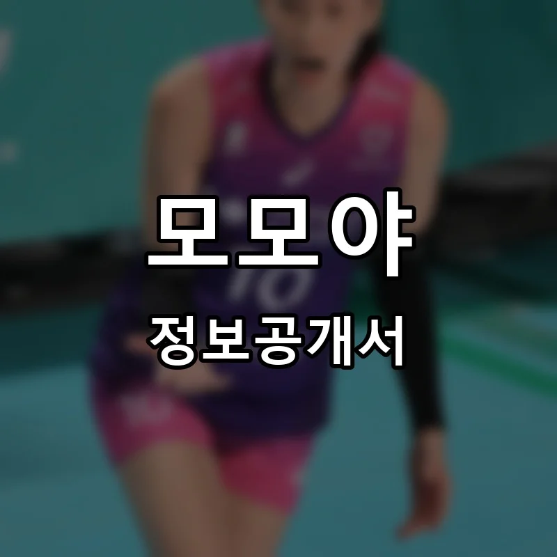 모모야 프랜차이즈 창업 비용 정보공개서 요약