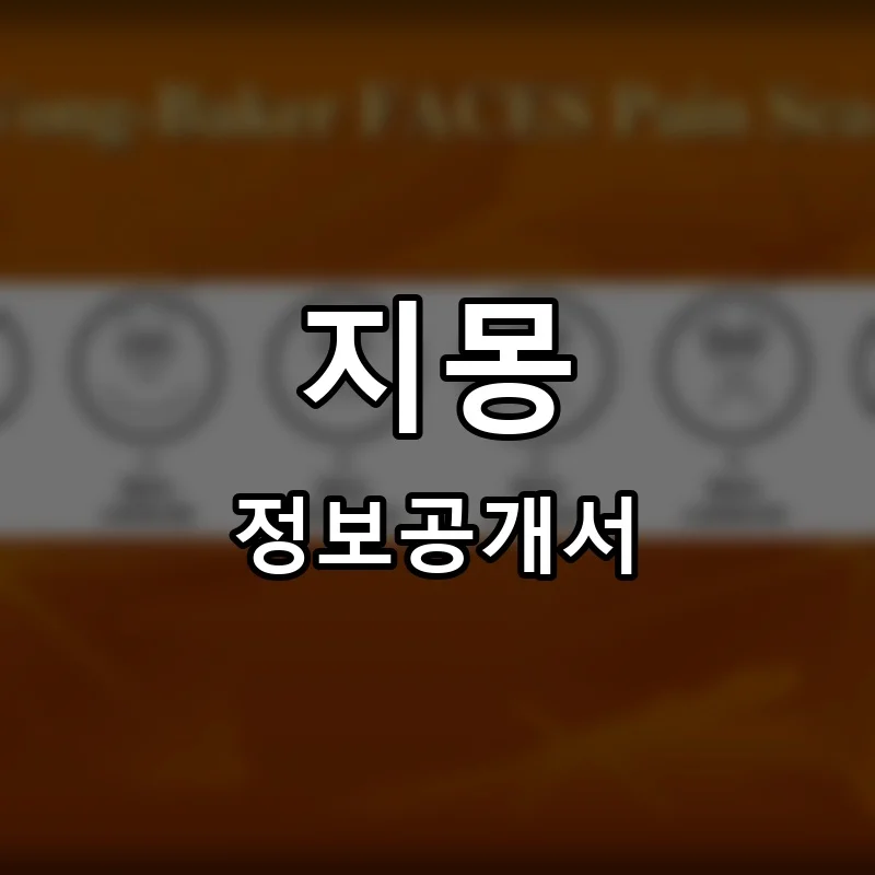 지몽 프랜차이즈 창업 비용 정보공개서 요약