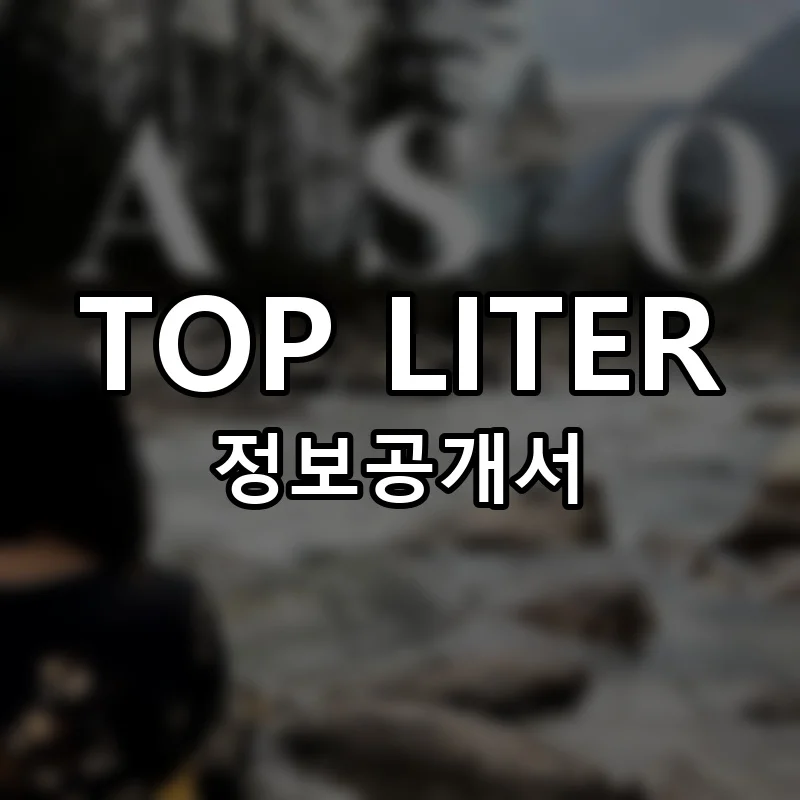 TOP LITER 프랜차이즈 창업 비용 정보공개서 요약