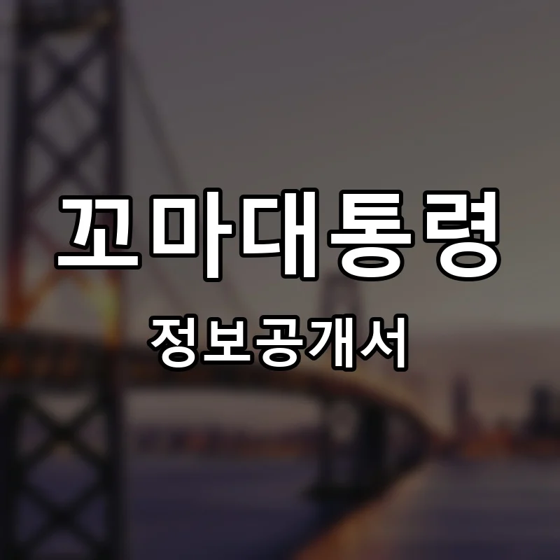 꼬마대통령 프랜차이즈 창업 비용 정보공개서 요약