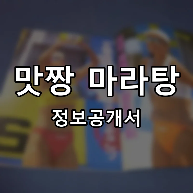 맛짱 마라탕 프랜차이즈 창업 비용 정보공개서 요약