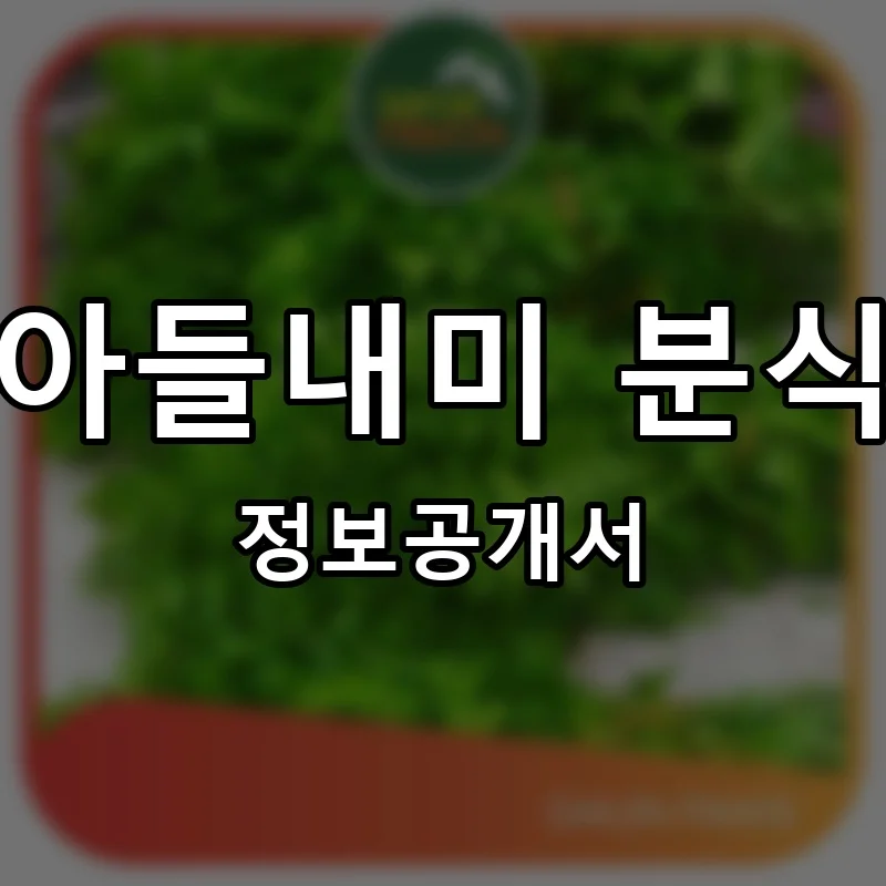 아들내미 분식 프랜차이즈 창업 비용 정보공개서 요약