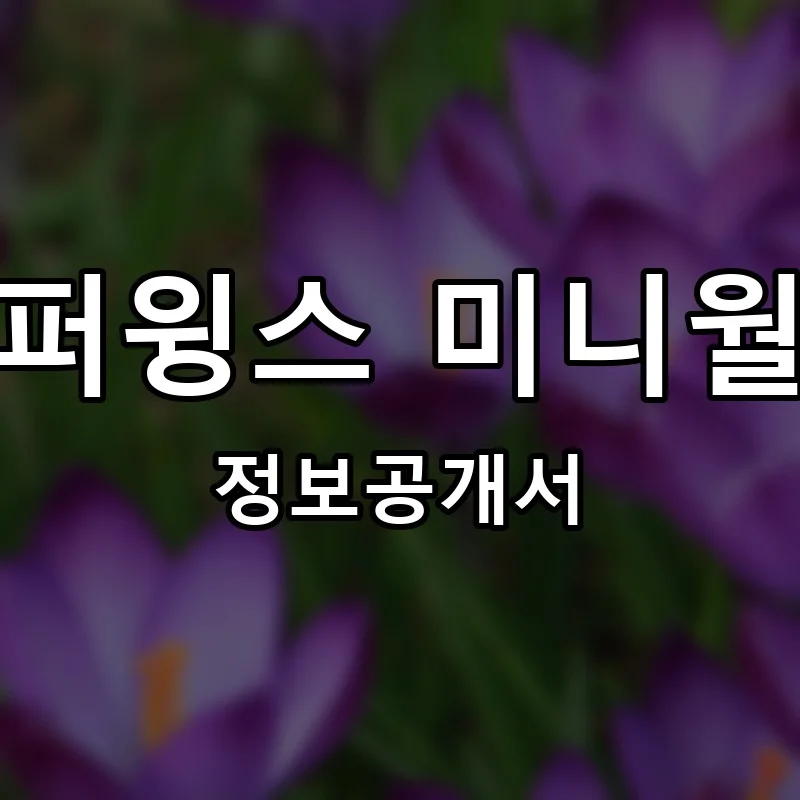 슈퍼윙스 미니월드 프랜차이즈 창업 비용 정보공개서 요약