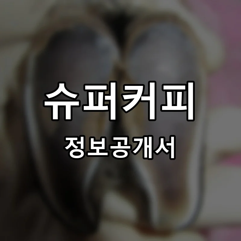 슈퍼커피 프랜차이즈 창업 비용 정보공개서 요약