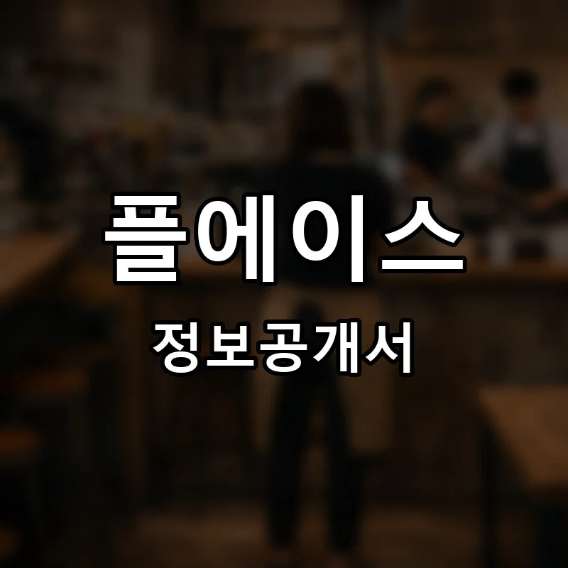 플에이스 프랜차이즈 창업 비용 정보공개서 요약