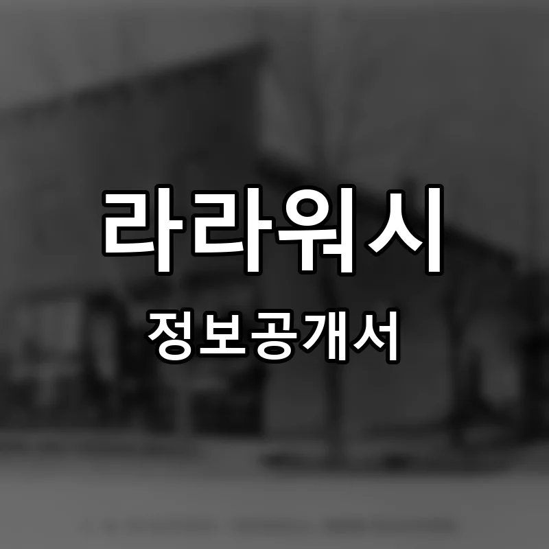 라라워시 프랜차이즈 정보공개서