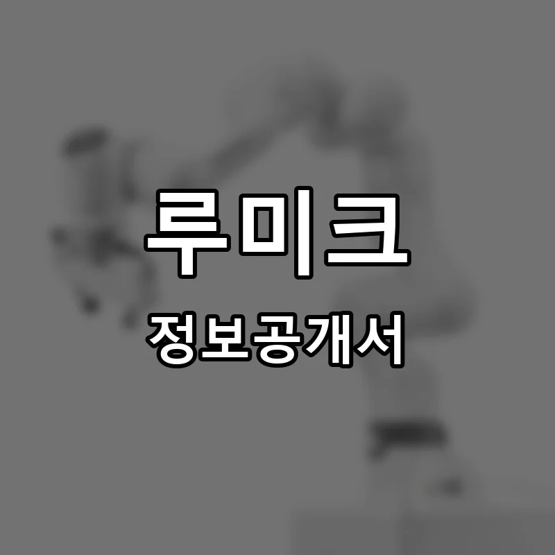 루미크(LUMIK) 프랜차이즈 창업 비용 정보공개서 요약