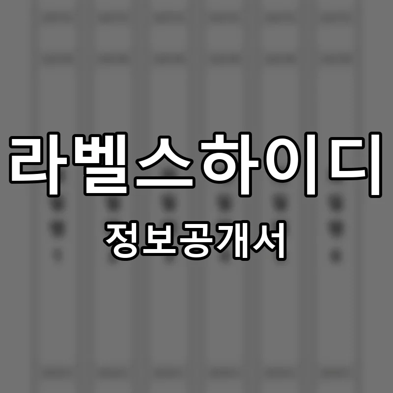 라벨스하이디 프랜차이즈 창업 비용 정보공개서 요약