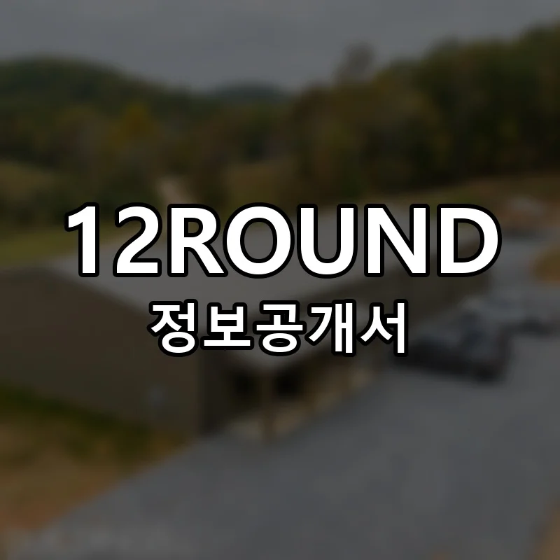 12ROUND 프랜차이즈 창업 비용 정보공개서 요약