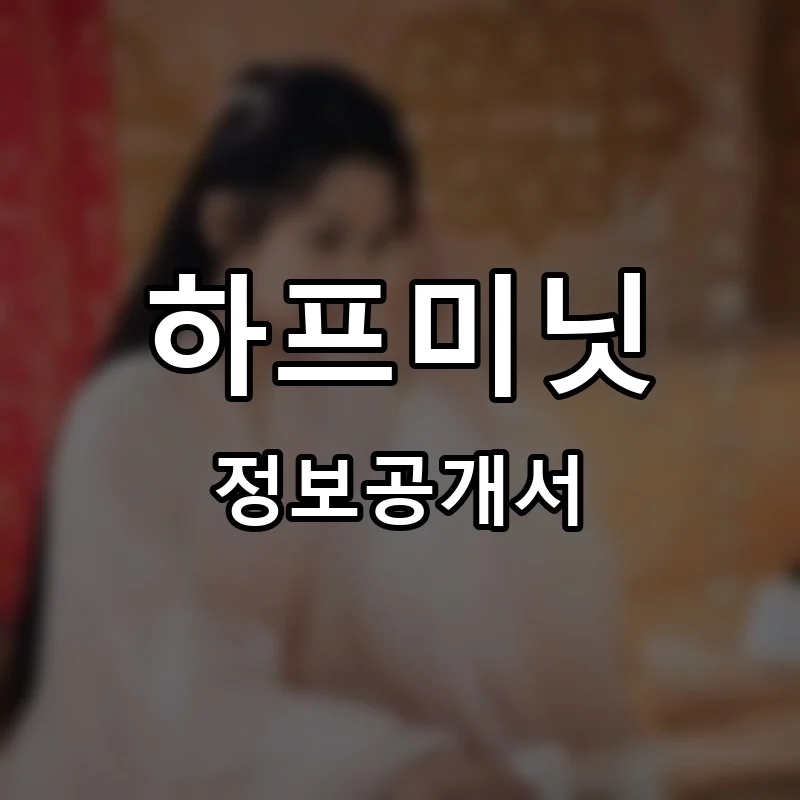 하프미닛 프랜차이즈 창업 비용 정보공개서 요약