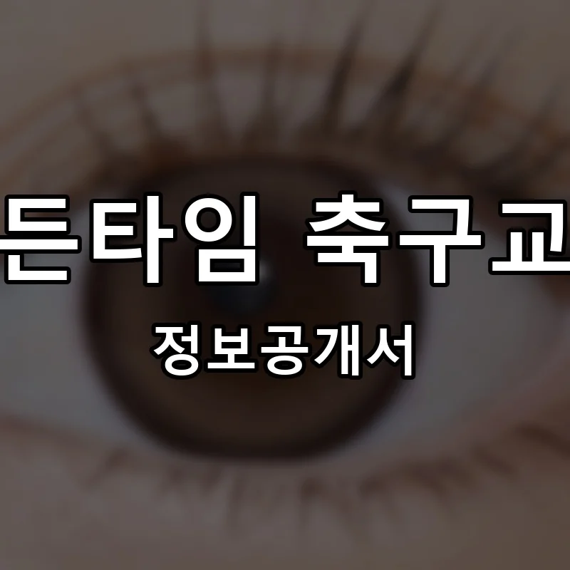 골든타임 축구교실 프랜차이즈 창업 비용 정보공개서 요약