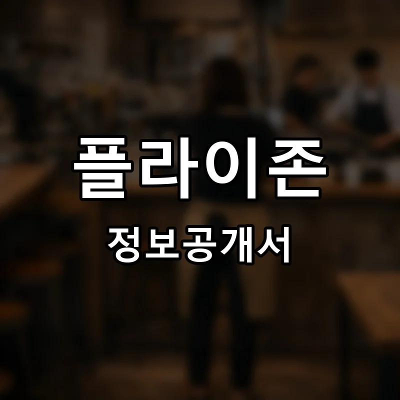 플라이존 프랜차이즈 창업 비용 정보공개서 요약