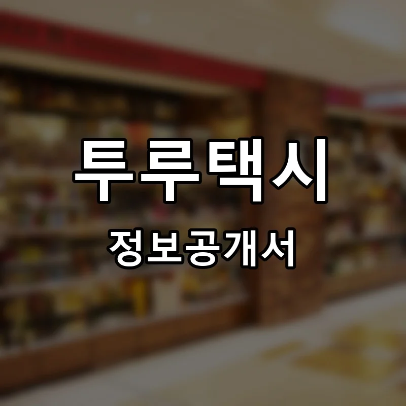 투루택시 프랜차이즈 창업 비용 정보공개서 요약