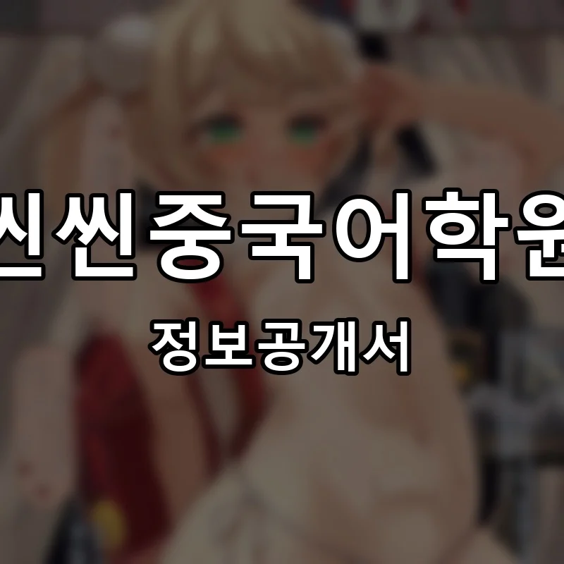 씬씬중국어학원 프랜차이즈 창업 비용 정보공개서 요약