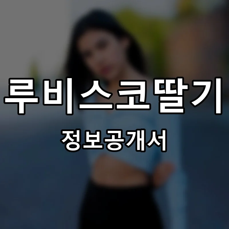 루비스코딸기 프랜차이즈 창업 비용 정보공개서 요약