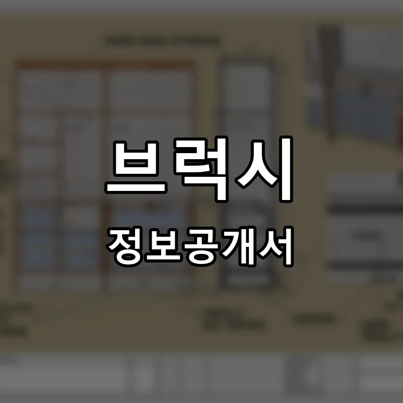 브럭시 프랜차이즈 창업 비용 정보공개서 요약