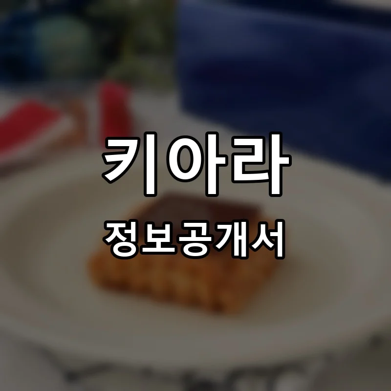 키아라 프랜차이즈 창업 비용 정보공개서 요약