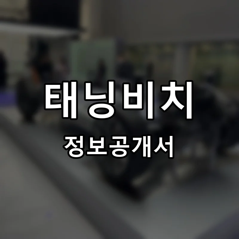 태닝비치(TANNING BEACH) 프랜차이즈 창업 비용 정보공개서 요약