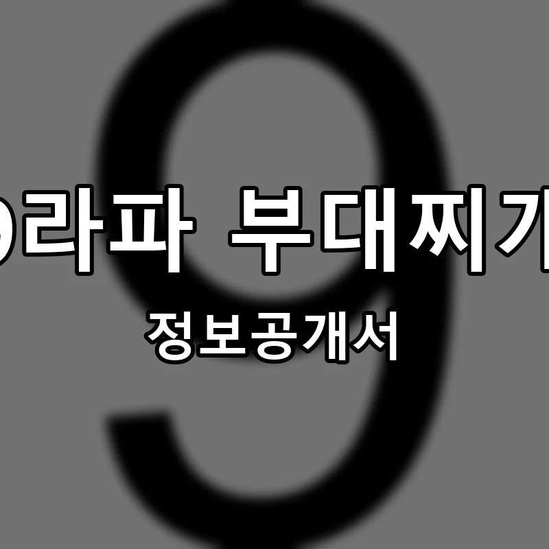 9라파 부대찌개 창업 프랜차이즈 정보공개서 요약 2026.06.09