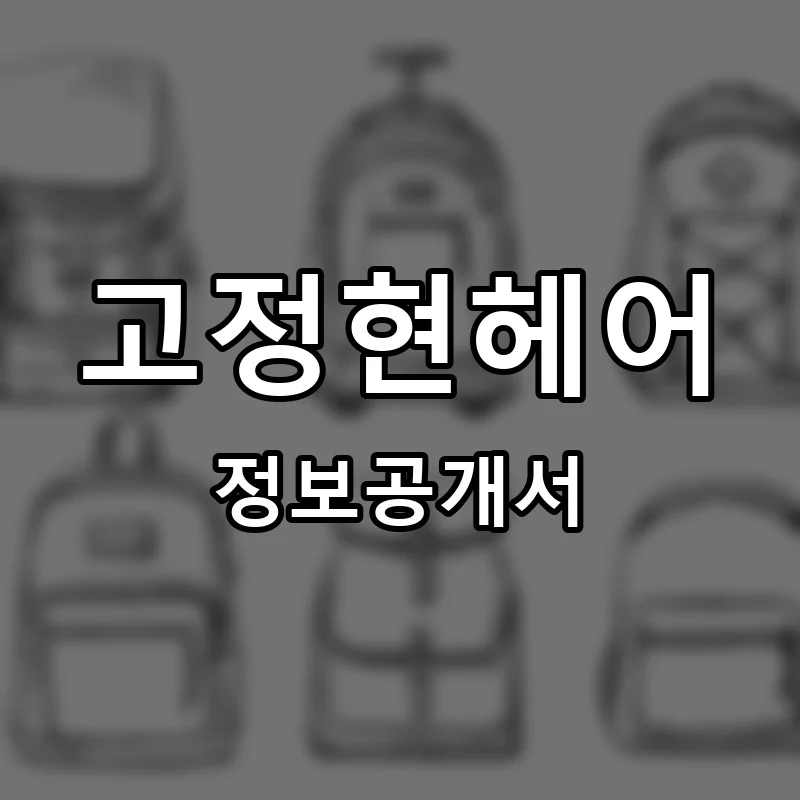 고정현헤어 프랜차이즈 창업 비용 정보공개서 요약