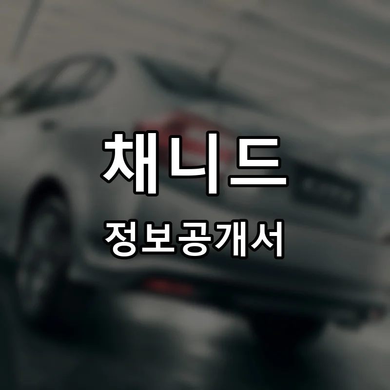 채니드 프랜차이즈 창업 비용 정보공개서 요약