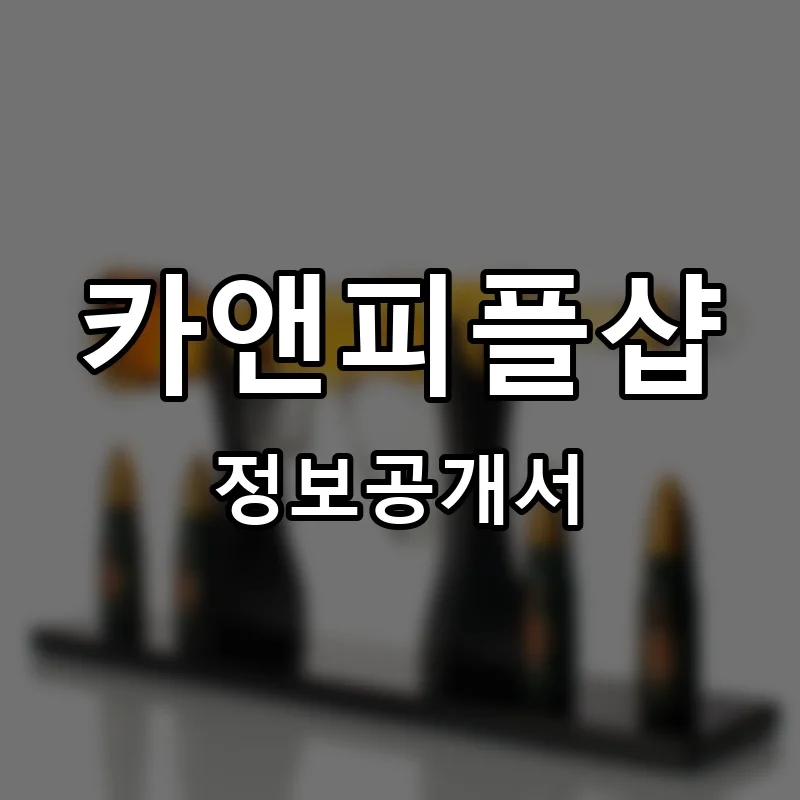 카앤피플샵 프랜차이즈 창업 비용 정보공개서 요약