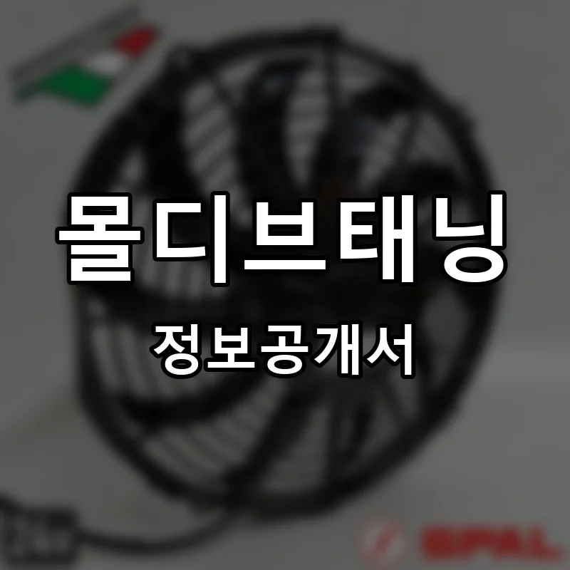 몰디브태닝 프랜차이즈 창업 비용 정보공개서 요약