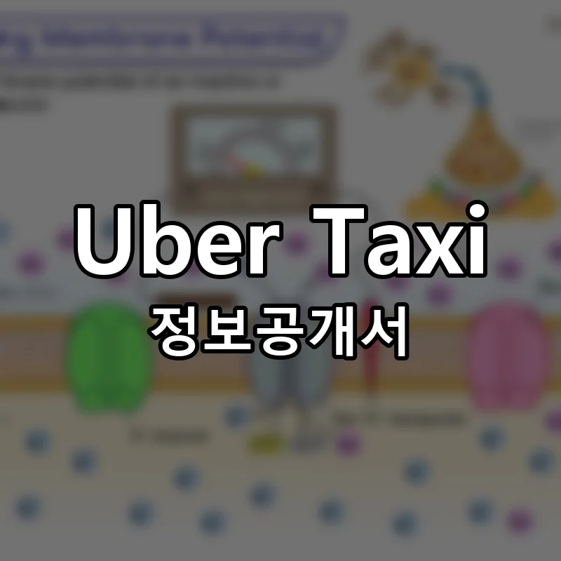Uber Taxi (우버택시) 프랜차이즈 창업 비용 정보공개서 요약