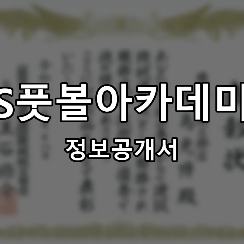 S풋볼아카데미 창업 프랜차이즈 정보공개서 요약 2025.12.15