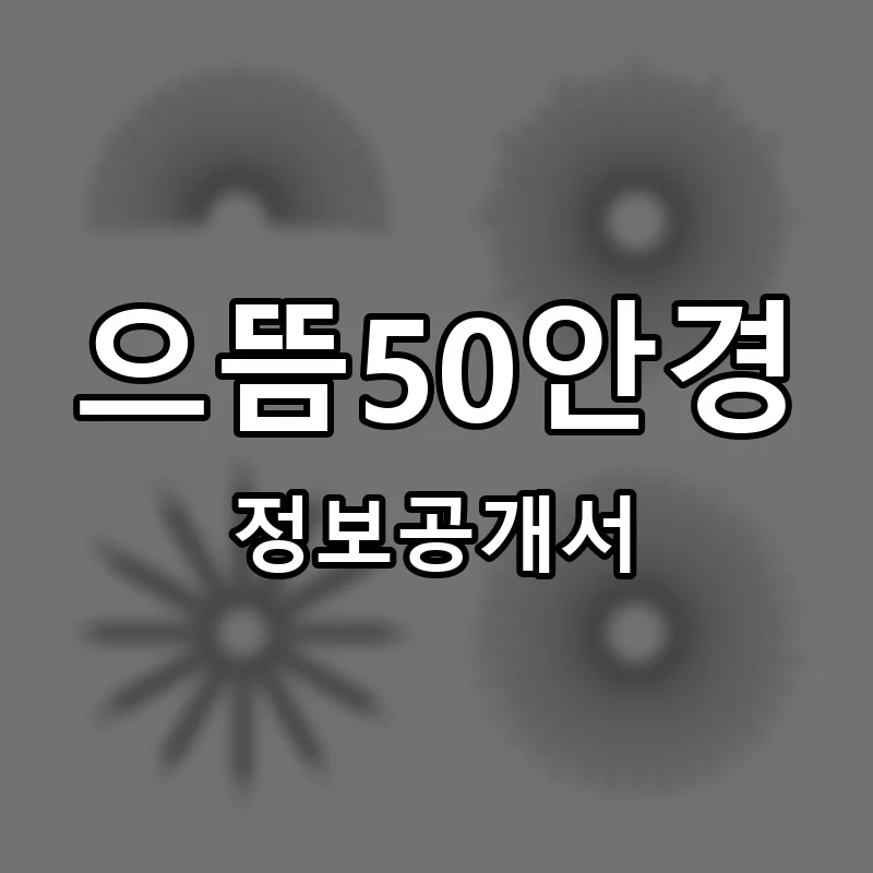 으뜸50안경 프랜차이즈 창업 비용 정보공개서 요약