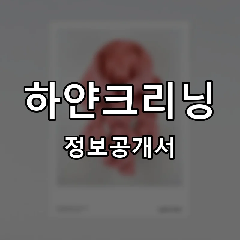 하얀크리닝 프랜차이즈 창업 비용 정보공개서 요약