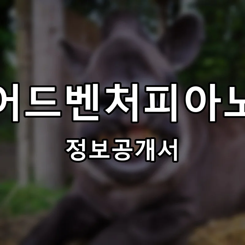 어드벤처피아노 프랜차이즈 창업 비용 정보공개서 요약