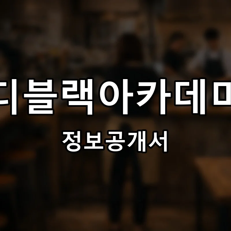 디블랙아카데미 프랜차이즈 정보공개서