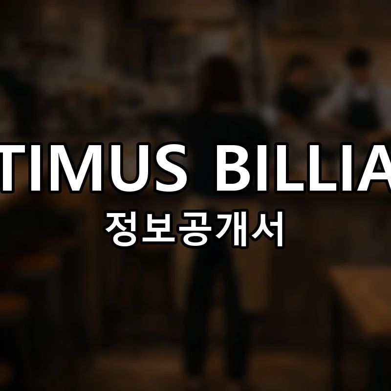 OPTIMUS BILLIARD 창업 프랜차이즈 정보공개서 요약 2025.12.03