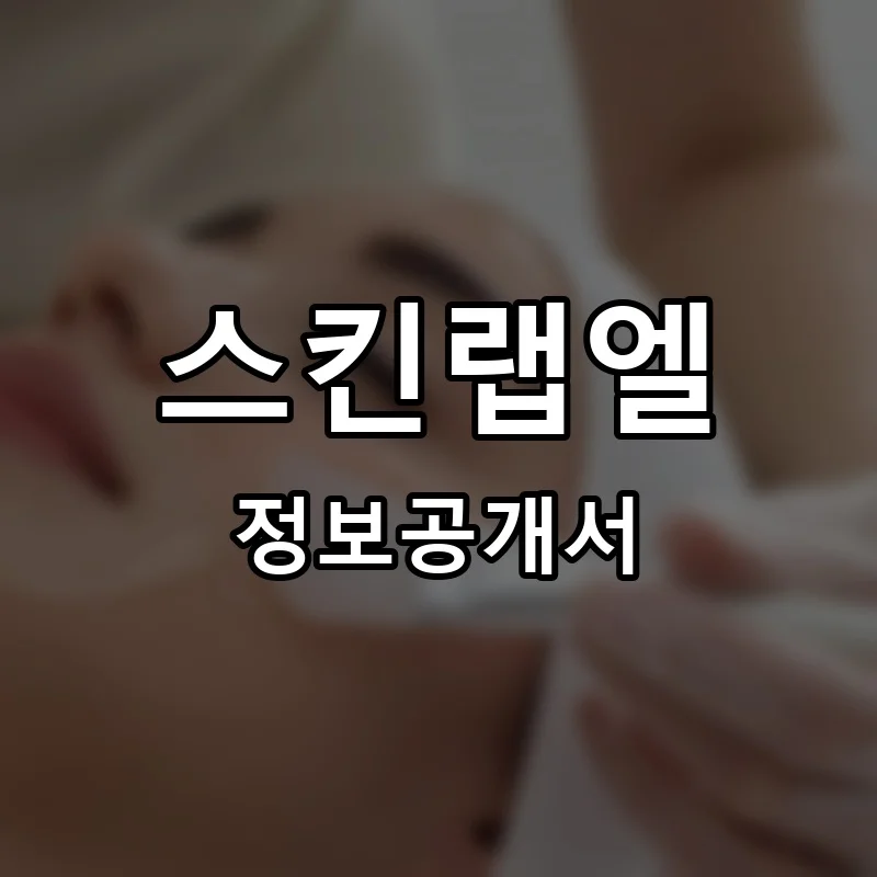 스킨랩엘 프랜차이즈 창업 비용 정보공개서 요약