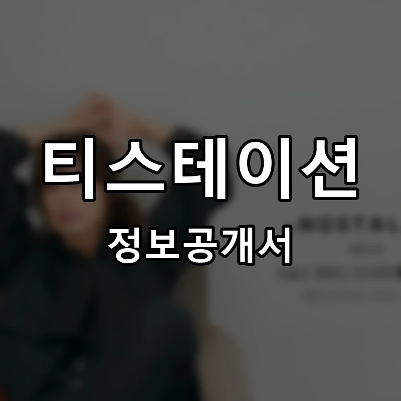 티스테이션(T'station) 프랜차이즈 창업 비용 정보공개서 요약